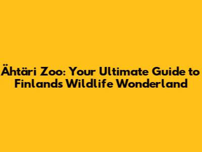 Ähtäri Zoo: Your Ultimate Guide to Finland's Wildlife Wonderland