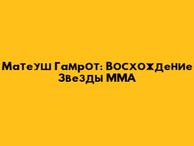Матеуш Гамрот: Восхождение Звезды MMA