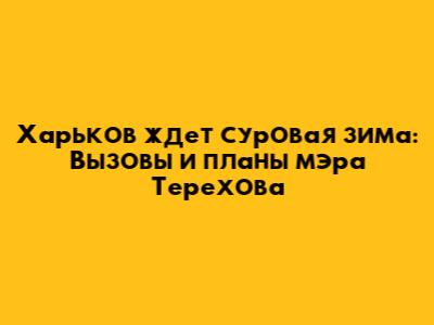Харьков ждет суровая зима: Вызовы и планы мэра Терехова