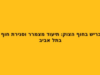כריש בחוף הצוק: תיעוד מצמרר וסגירת חוף בתל אביב