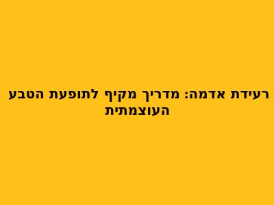 רעידת אדמה: מדריך מקיף לתופעת הטבע העוצמתית