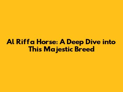 Al Riffa Horse: A Deep Dive into This Majestic Breed