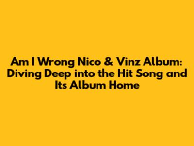 Am I Wrong Nico & Vinz Album: Diving Deep into the Hit Song and Its Album Home