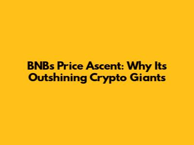 BNB's Price Ascent: Why It's Outshining Crypto Giants