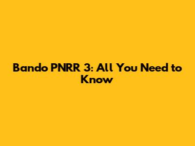 Bando PNRR 3: All You Need to Know