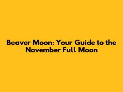 Beaver Moon: Your Guide to the November Full Moon