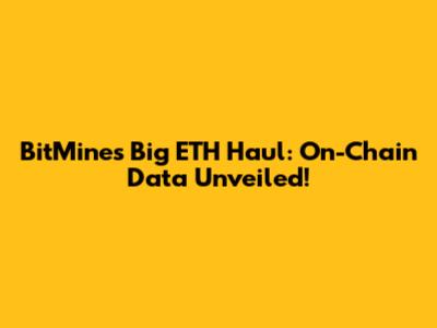 BitMine's Big ETH Haul: On-Chain Data Unveiled!