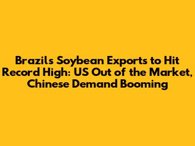 Brazil's Soybean Exports to Hit Record High: US Out of the Market, Chinese Demand Booming