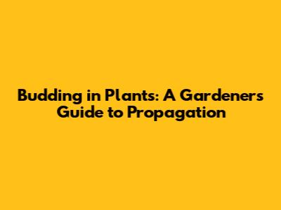 Budding in Plants: A Gardener's Guide to Propagation