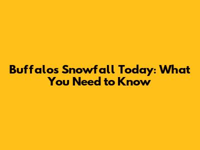 Buffalo's Snowfall Today: What You Need to Know