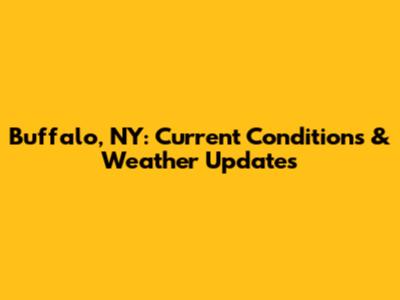 Buffalo, NY: Current Conditions & Weather Updates