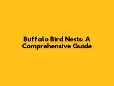 Buffalo Bird Nests: A Comprehensive Guide