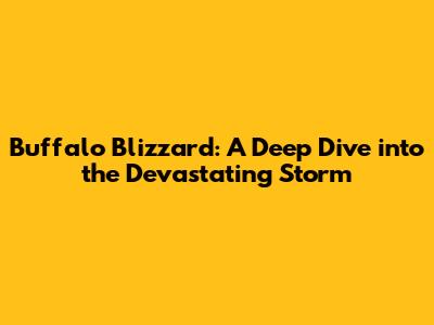 Buffalo Blizzard: A Deep Dive into the Devastating Storm