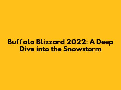 Buffalo Blizzard 2022: A Deep Dive into the Snowstorm