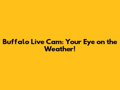 Buffalo Live Cam: Your Eye on the Weather!