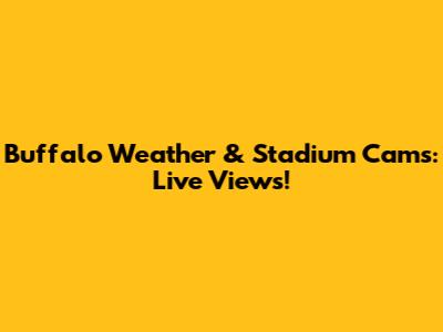 Buffalo Weather & Stadium Cams: Live Views!