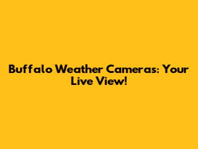 Buffalo Weather Cameras: Your Live View!