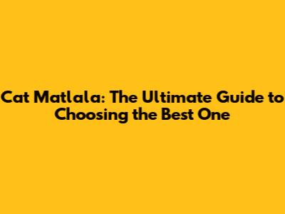 Cat Matlala: The Ultimate Guide to Choosing the Best One