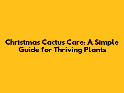Christmas Cactus Care: A Simple Guide for Thriving Plants