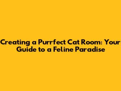 Creating a Purrfect Cat Room: Your Guide to a Feline Paradise