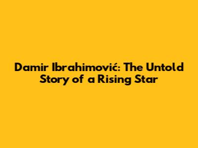 Damir Ibrahimović: The Untold Story of a Rising Star
