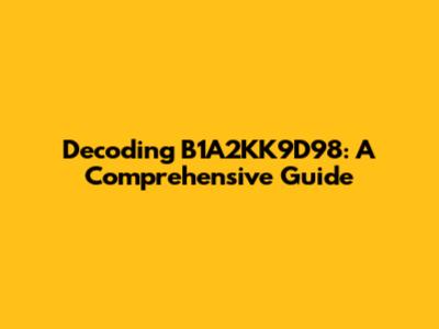 Decoding B1A2KK9D98: A Comprehensive Guide
