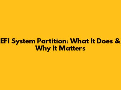 EFI System Partition: What It Does & Why It Matters