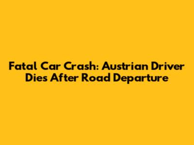 Fatal Car Crash: Austrian Driver Dies After Road Departure