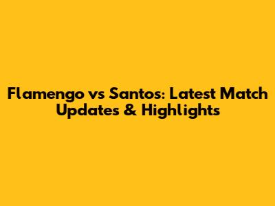 Flamengo vs Santos: Latest Match Updates & Highlights