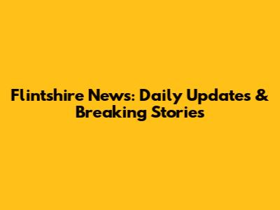 Flintshire News: Daily Updates & Breaking Stories