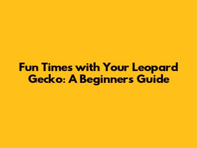 Fun Times with Your Leopard Gecko: A Beginner's Guide
