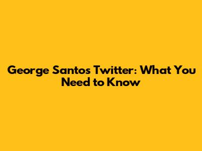 George Santos Twitter: What You Need to Know