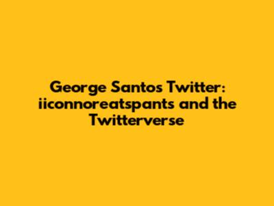 George Santos Twitter: iiconnoreatspants and the Twitterverse