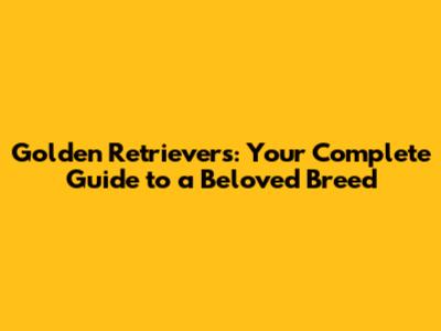 Golden Retrievers: Your Complete Guide to a Beloved Breed