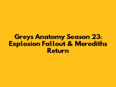 Grey's Anatomy Season 23: Explosion Fallout & Meredith's Return