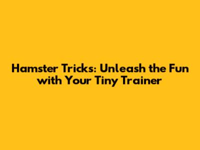 Hamster Tricks: Unleash the Fun with Your Tiny Trainer