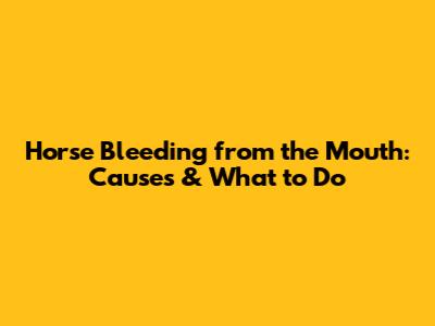 Horse Bleeding from the Mouth: Causes & What to Do