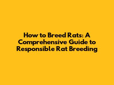 How to Breed Rats: A Comprehensive Guide to Responsible Rat Breeding