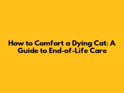 How to Comfort a Dying Cat: A Guide to End-of-Life Care