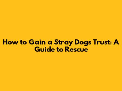 How to Gain a Stray Dog's Trust: A Guide to Rescue