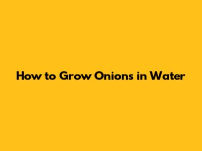 How to Grow Onions in Water