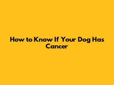 How to Know If Your Dog Has Cancer