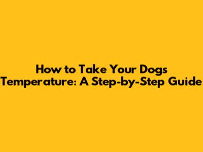 How to Take Your Dog's Temperature: A Step-by-Step Guide