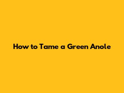 How to Tame a Green Anole
