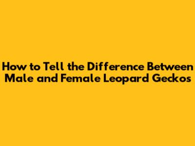 How to Tell the Difference Between Male and Female Leopard Geckos