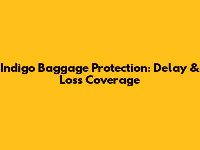 Indigo Baggage Protection: Delay & Loss Coverage