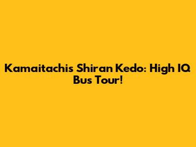 Kamaitachi's 'Shiran Kedo': High IQ Bus Tour!