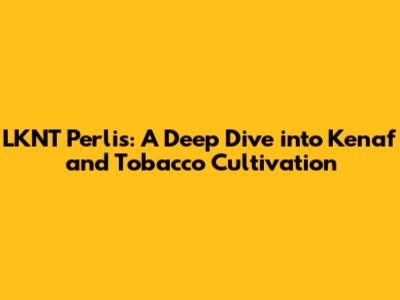 LKNT Perlis: A Deep Dive into Kenaf and Tobacco Cultivation