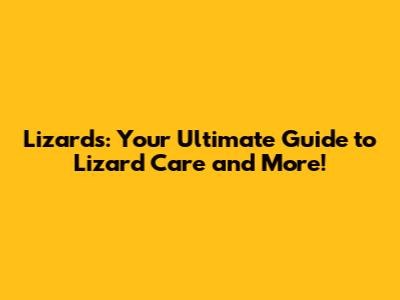 Lizards: Your Ultimate Guide to Lizard Care and More!