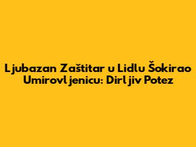 Ljubazan Zaštitar u Lidlu Šokirao Umirovljenicu: Dirljiv Potez